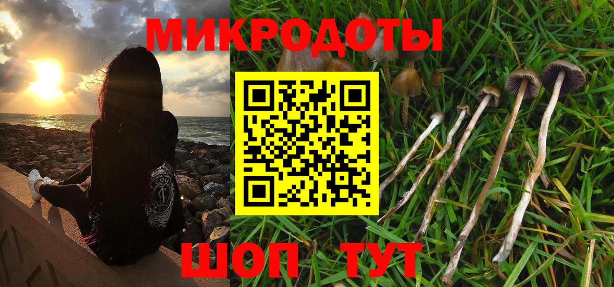 Псилоцибиновые грибы прущие грибы Петропавловск-Камчатский